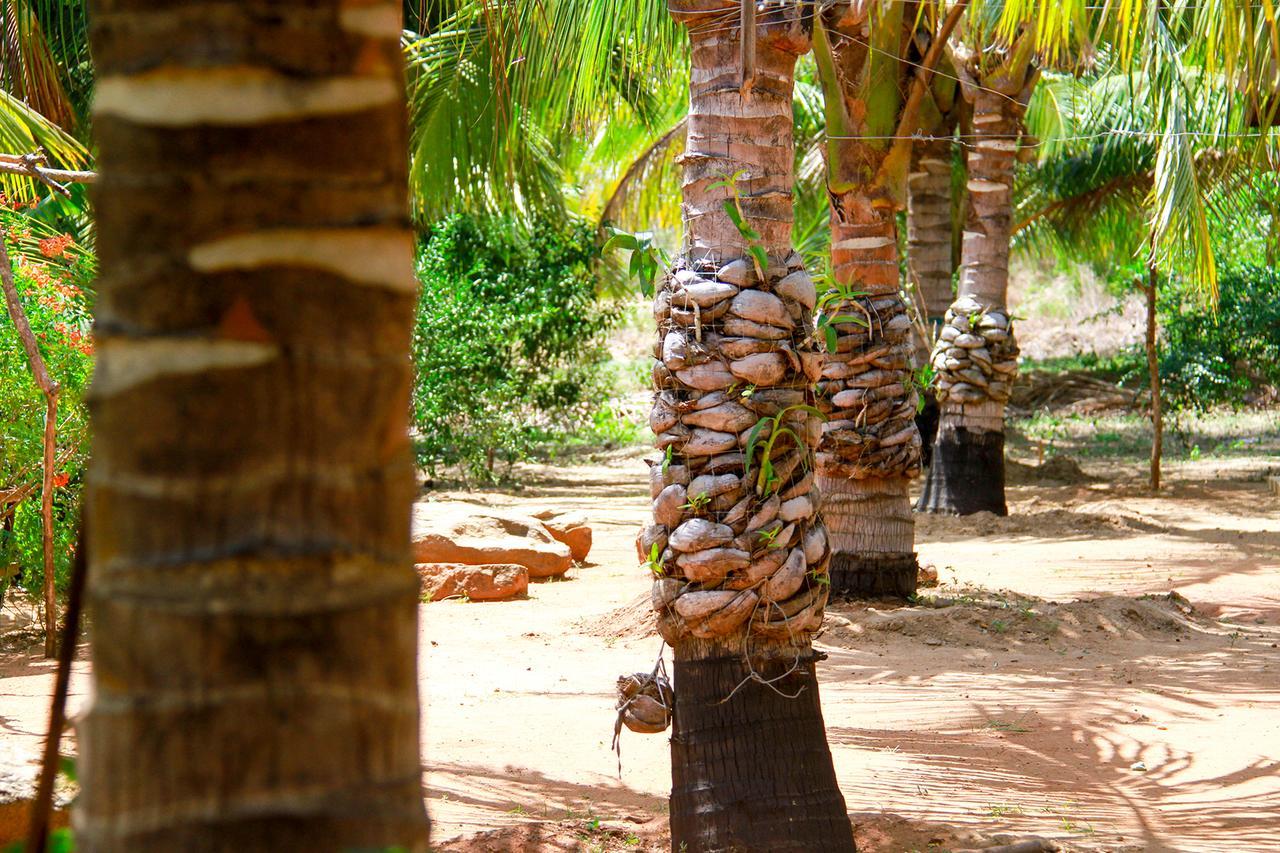 Yalaway Nature Villa Tissamaharama Exterior foto