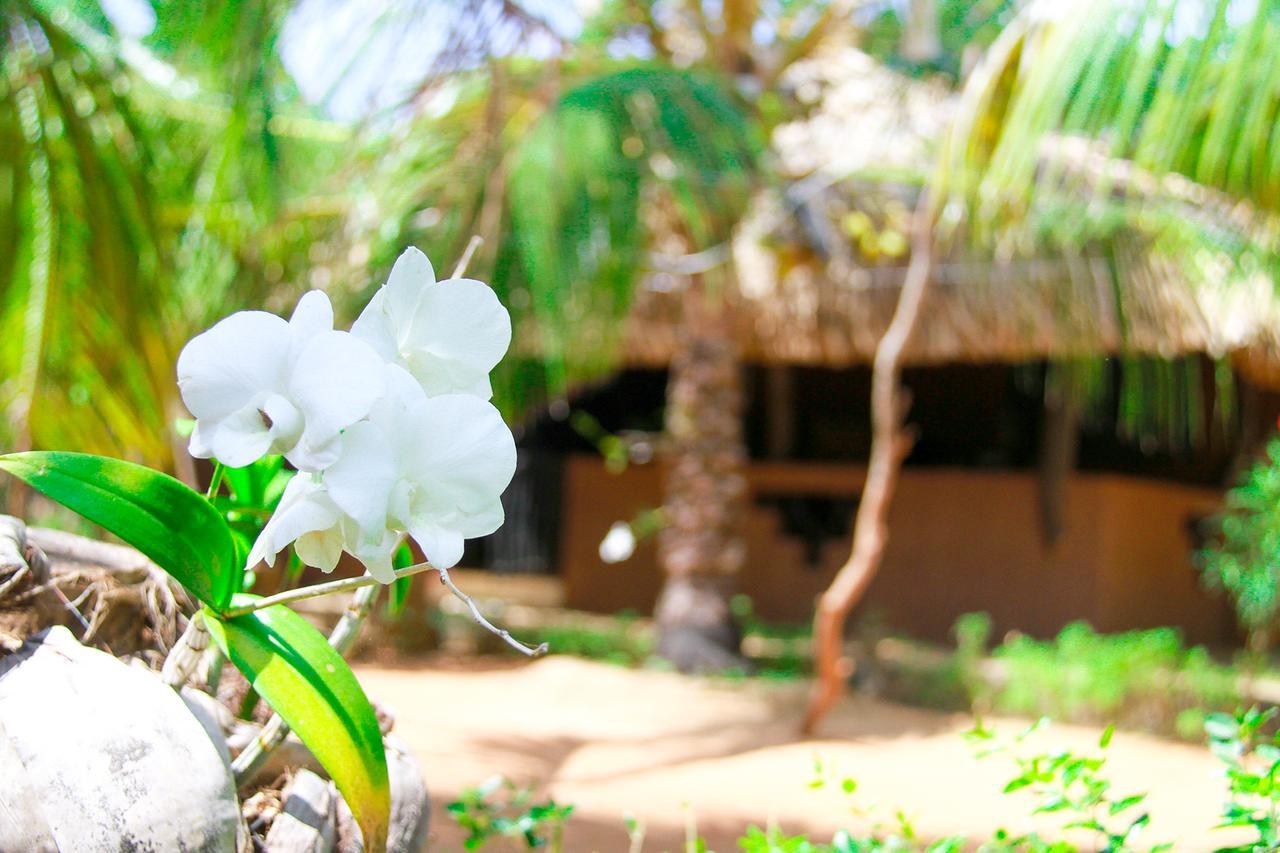 Yalaway Nature Villa Tissamaharama Exterior foto